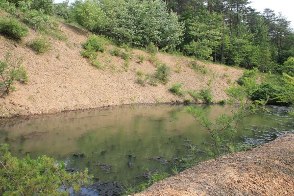 Cost of Pond Erosion Repair in Valparaiso